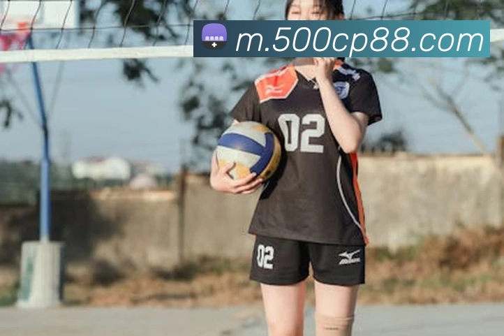 500彩票网服务体系